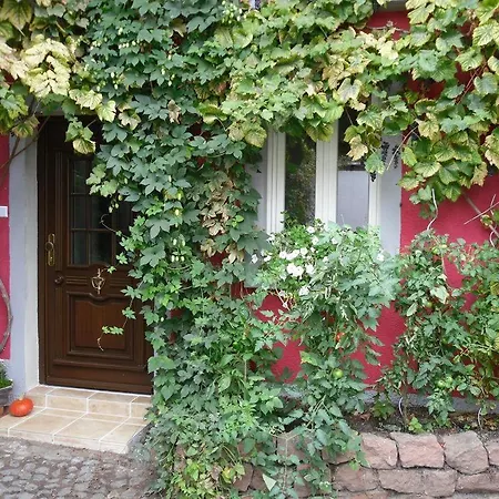 Apartment Winzeranwesen - Weingut Christian Eberley- Ii Mindestaufenthalt 4 Naechte - Minimum 4 Nights *